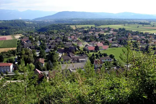 Monte Escalier Performance Installateur monte escalier Apprieu
