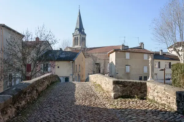 Monte Escalier Performance Installateur monte escalier Brignais
