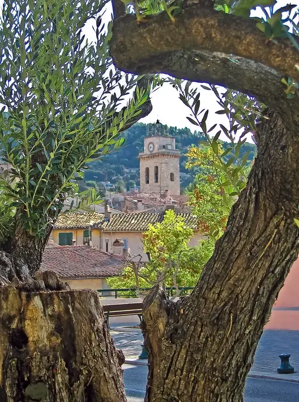 Monte Escalier Performance Installateur monte escalier Ceyreste