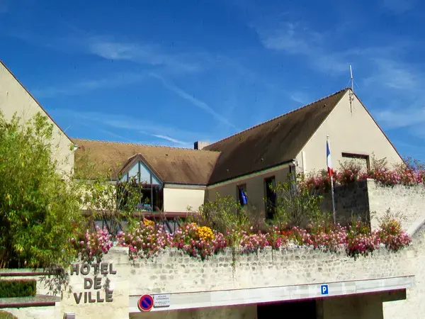 Monte Escalier Performance Installateur monte escalier Courdimanche