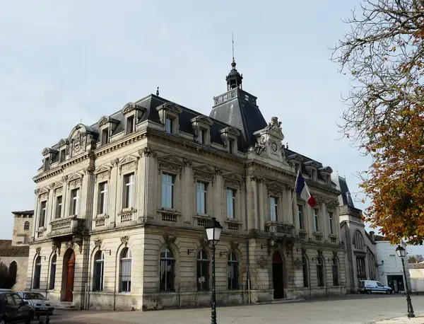 Monte Escalier Performance Installateur monte escalier Coutras