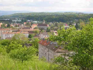 Monte Escalier Performance Installateur monte escalier Danjoutin