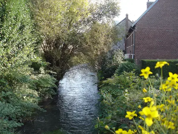Monte Escalier Performance Installateur monte escalier Déville-lès-Rouen