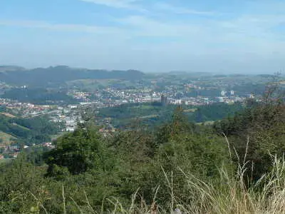 Monte Escalier Performance Installateur monte escalier Firminy