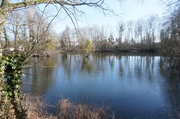 Monte Escalier Performance Installateur monte escalier La Chapelle-Saint-Luc