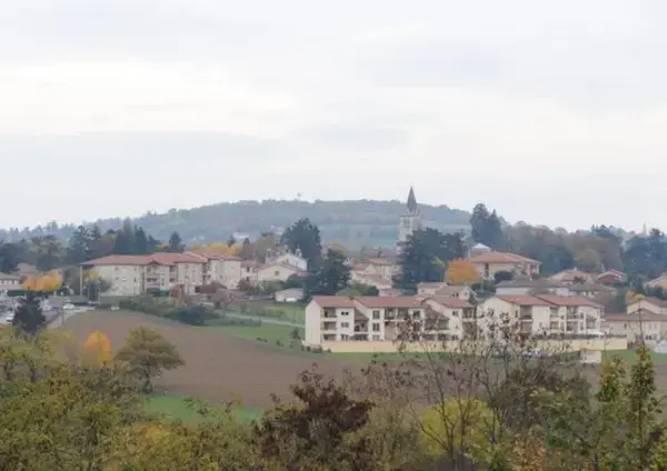 Monte Escalier Performance Installateur monte escalier Lentilly