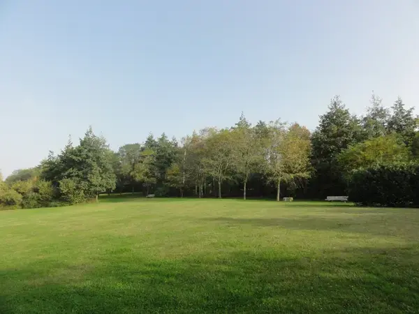 Monte Escalier Performance Installateur monte escalier Montigny-en-Gohelle