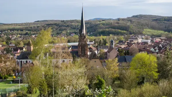Monte Escalier Performance Installateur monte escalier Mutzig