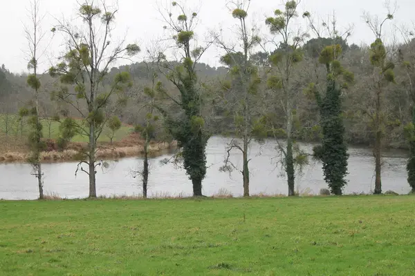 Monte Escalier Performance Installateur monte escalier Muzillac