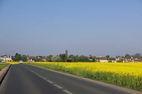 Monte Escalier Performance Installateur monte escalier Noiseau