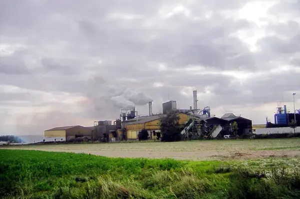 Monte Escalier Performance Installateur monte escalier Ormes