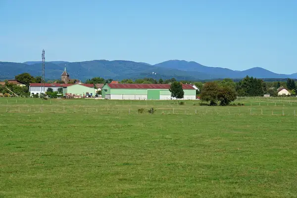 Monte Escalier Performance Installateur monte escalier Roye