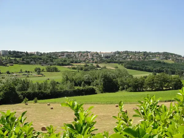 Monte Escalier Performance Installateur monte escalier Saint-Genest-Lerpt
