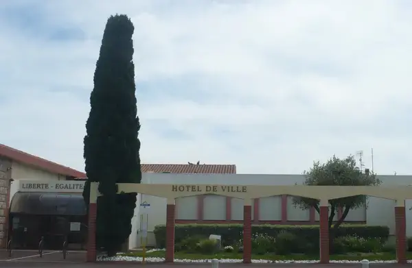 Monte Escalier Performance Installateur monte escalier Saleilles