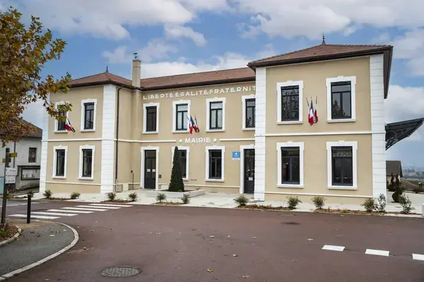 Monte Escalier Performance Installateur monte escalier Satolas-et-Bonce